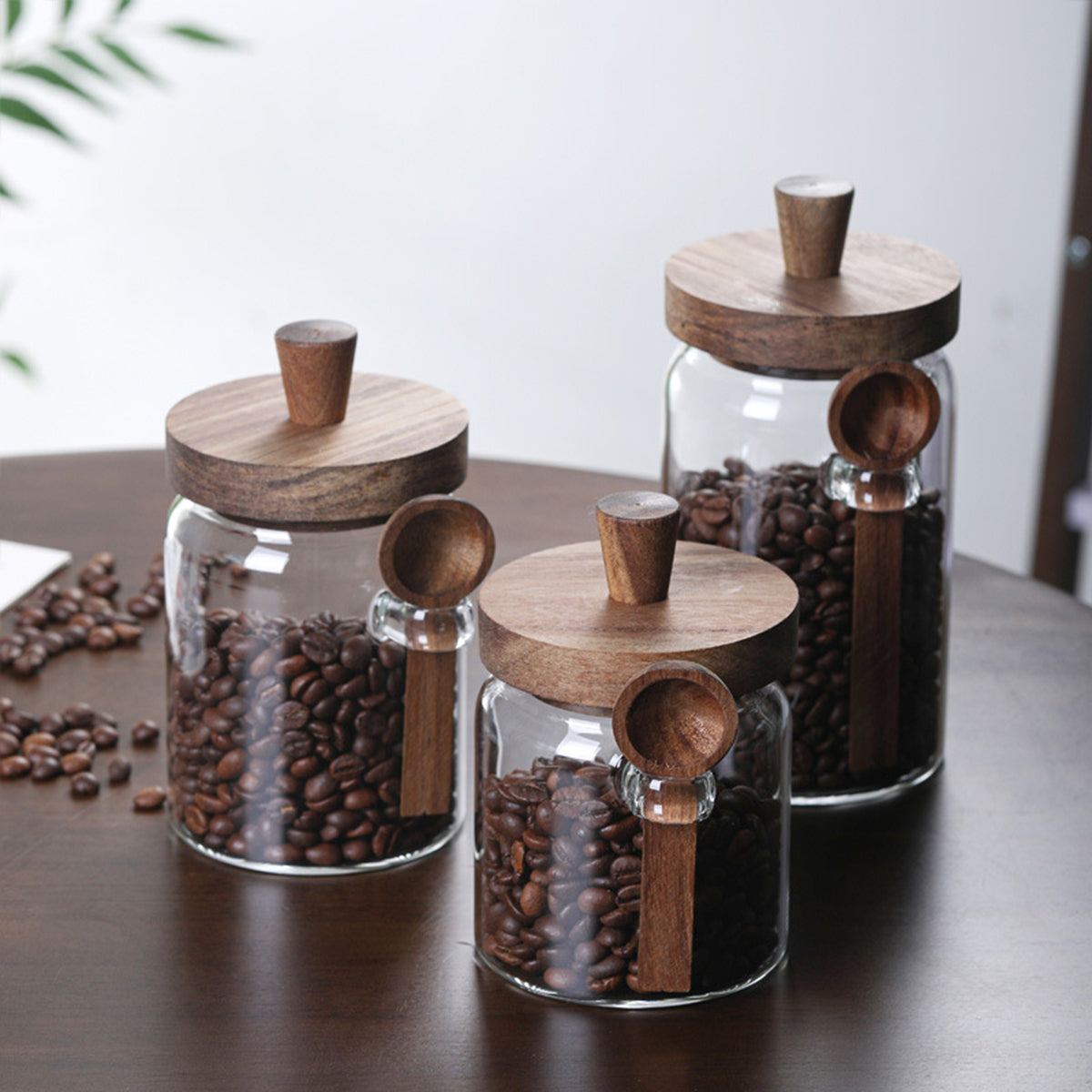 3 Pcs Glass Coffee Jars with Spoons – High Borosilicate Glass – Transparent-NIMSY